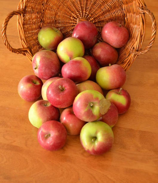falling apples in a wicker basket on a wooden table - macintosh apple imagens e fotografias de stock