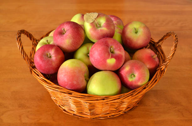 fresh apples in a wicker basket on a wooden table - macintosh apple imagens e fotografias de stock