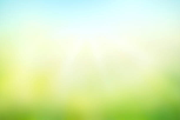 世界環境の日の概念 - 緑 背景 ストックフォトと画像