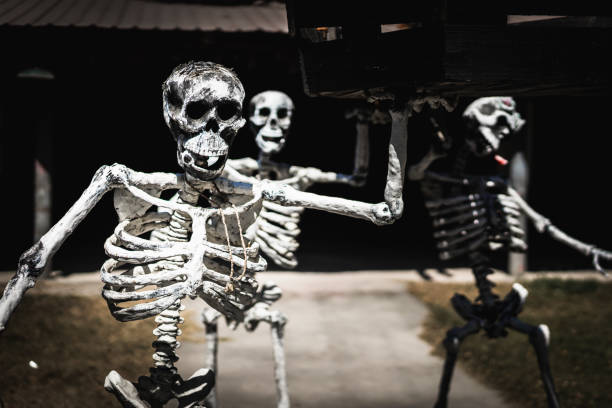 istock Halloween skeleton decorations in front of a graveyard 1278509634