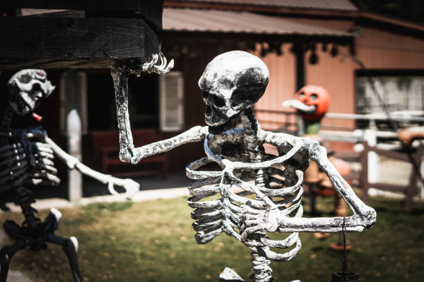 istock Halloween skeleton decorations in front of a graveyard 1278509656
