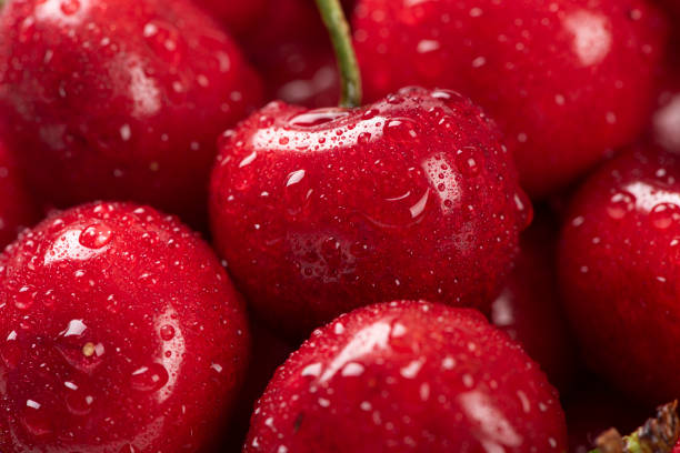 istock Raw Red Organic Cherries.water drops 1278515002
