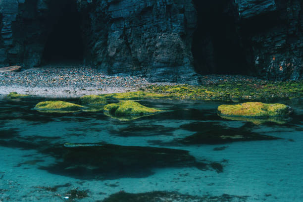 Beach with moss stones, ribadeo, lugo, galician, spain