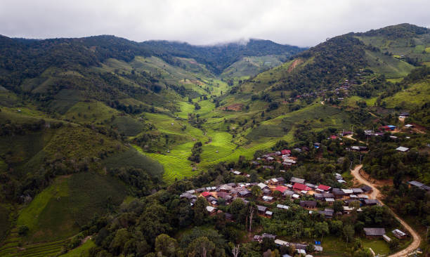 istock Top view Terraced rice field at Mae Cham Chiangmai Northern Thailand 1278522135
