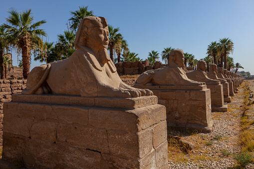 Sphinxes of the sphinx road in Luxor, Egypt.