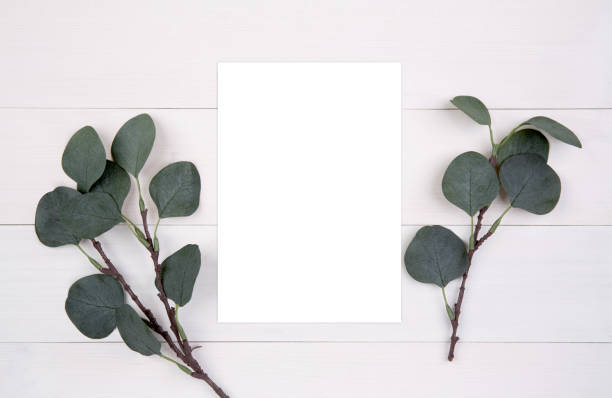 istock Blank paper sheet copy space with mockup and leaf on wooden table, poster and invitation, postcard decoration your design or branding, simplicity and minimal, nobody, flat lay, top view. 1278524082