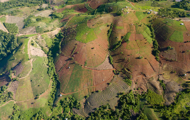 istock Terraced rice field at Mae Cham Chiangmai Northern Thailand. Top view 1278524549