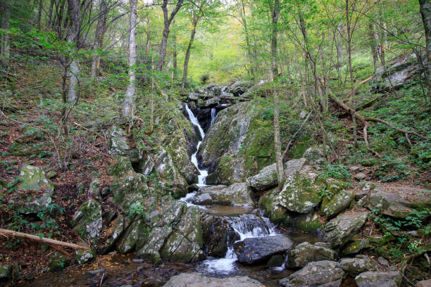 istock Dark Hallow Falls in Shenandoah National Park 1278527424