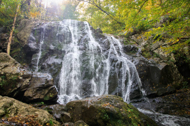 istock Dark Hallow Falls in Shenandoah National Park 1278527445