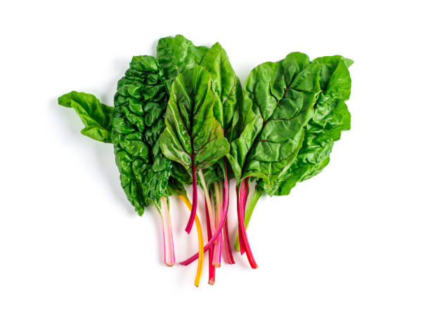 istock swiss rainbow chard isolated on white 1278530665