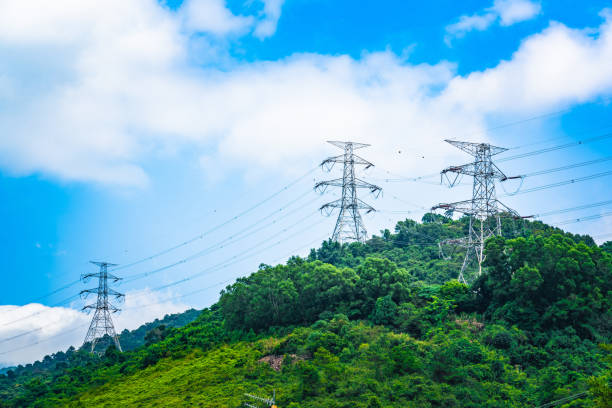 High voltage electric pole in the forest, Hong Kong