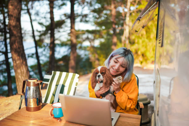 istock Young Girl having video call at camp with her dog 1278532016