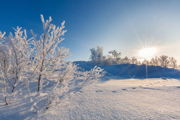 istock Winter landscape with snow-covered trees and sun, Norway 1278532751