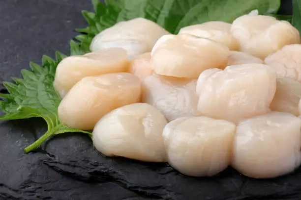 Image of scallop adductor muscle 

Sashimi of scallop scallop