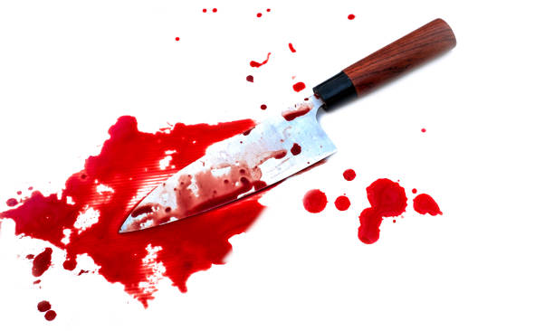 Kitchen knife bloody on white background Kitchen deba knife bloody on white background knife crime photos stock pictures, royalty-free photos & images