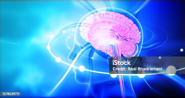 Human Brain With Wave Signals Stock Photo - Download Image Now - Hormone, Abstract, Artificial Intelligence