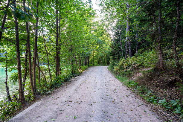 istock A beautiful forest road, path next to the peaceful lakeshore and forest. 1278543723