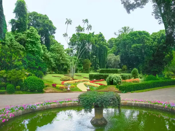 Photo of Royal Botanical garden Peradeniya. Sri Lanka