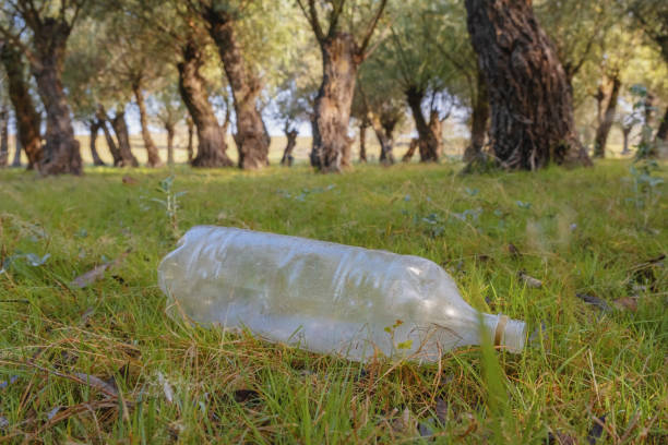 Plastic bottle thrown by tourists pollutes parks. Plastic garbage environmental pollution problem. Kartal Eco Park, Orlovka village, Reni raion, Odessa oblast, Ukraine, Eastern Europe Plastic bottle thrown by tourists pollutes parks. Plastic garbage environmental pollution problem. Kartal Eco Park, Orlovka village, Reni raion, Odessa oblast, Ukraine, Eastern Europe kartal stock pictures, royalty-free photos & images