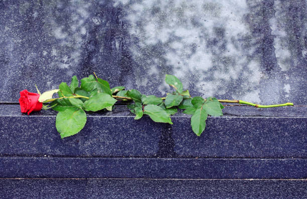 Red rose on black granite tombstone outdoors