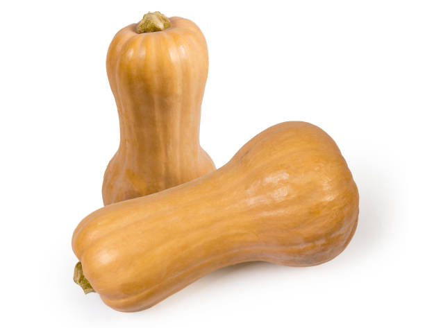istock Whole ripe butternut squashes on a white background 1278549052
