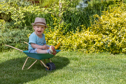 Lovely baby boy wearing hat is sitting on green wheelbarrow looking at the camera wirh open mouth.