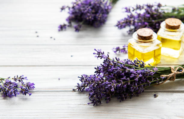 Fresh lavender flowers  and essential oils