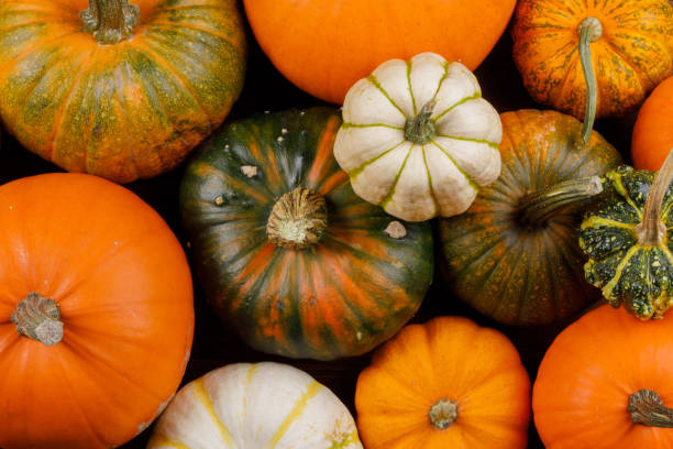 istock Assortiment of pumpkins background 1278556443