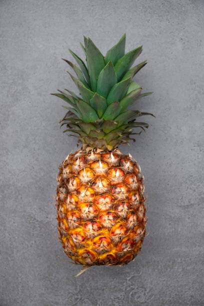 istock Ripe pineapple on grey background, isolated tropical fruit 1278560017