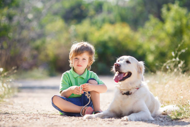 istock Boy with a dog on the nature 1278561184