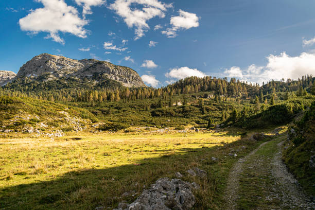 impressive mountain landscape. piani eterni, dolomiti bellunesi national park, italy - beauty in nature belluno clear sky color image imagens e fotografias de stock