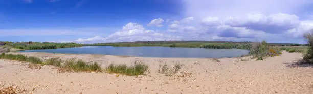 Photo of The “Litorale di Ugento” Regional Nature Park  in Apulia (Italy) boasts sandy beaches, stretches of water and woody areas, wetlands behind the dunes, marshes, areas of woodland and Mediterranean scrub.