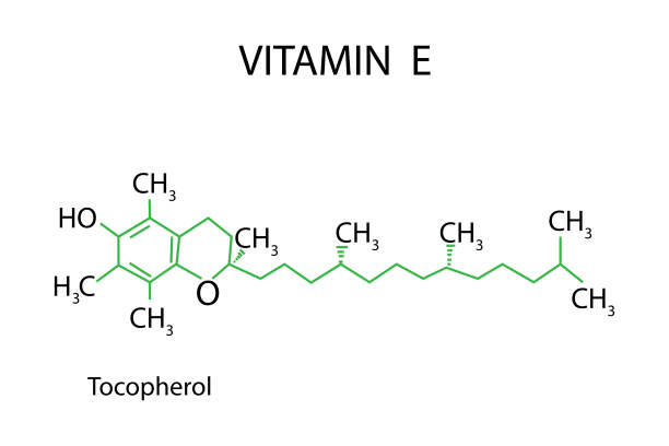 molekül tocopherol. vitamin e. chemische formel in form eines skeletts. struktur von tocotrienol. vektor-illustration. vektor-illustration. stockbild. - scincare stock-grafiken, -clipart, -cartoons und -symbole