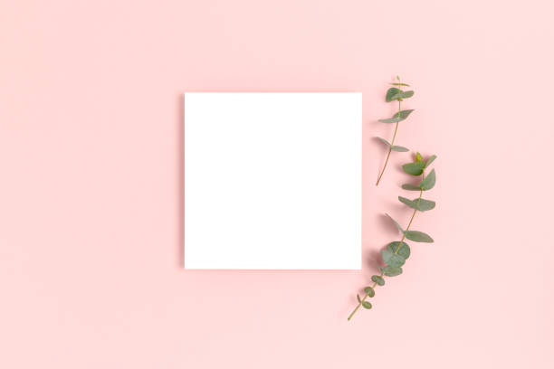 istock Blank paper card mockup with copy space. Eucalyptus branches on a pink pastel background. 1278564833
