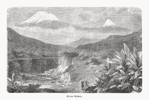 Historical view of Mount Kilimanjaro, Tanzania, wood engraving, published 1893 Historical view of the two of Kilimanjaro's volcanic cones: Kibo (left) and Mawenzi (right) in Tanzania. It is the highest mountain in Africa and the highest single free-standing mountain in the world: 5,895 metres (19,341 ft) above sea level and about 4,900 metres (16,100 ft) above its plateau base. Wood engraving, published in 1893. mawenzi stock illustrations