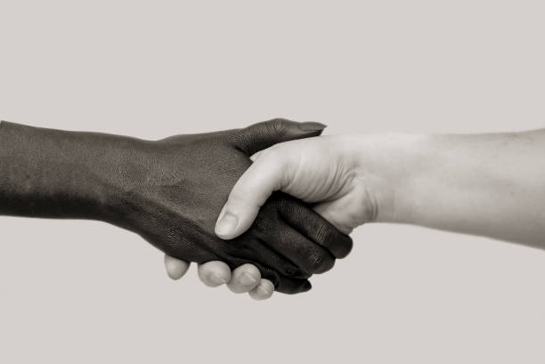 istock Black and white human hands in joint handshake on an isolated background. The concept of combating racism, friendship and respect between peoples.Selective focus, close-up,black and white photography. 1278565529