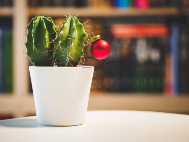 istock Christmas red ornament near  green small cactus with library on a background. non typical christmas concept 1278568707