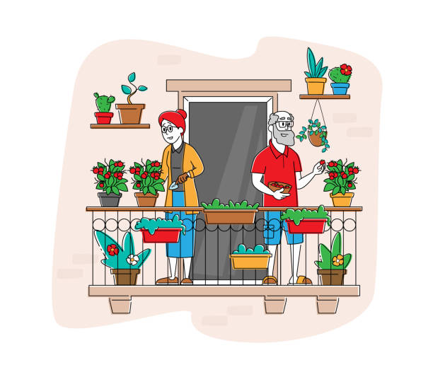 старшие персонажи наслаждаясь садоводство хобби работа на балкон сад уход растений и полива зелени и овощей - senior adult couple farm gardening stock illustrations