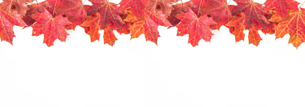 istock Beautiful autumn greeting card 1278571401