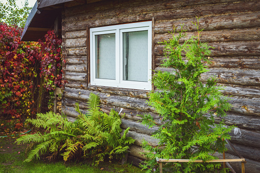 Old abandoned cottage in Kruszyniany, north-eastern Poland, Podlaskie Voivodeship.