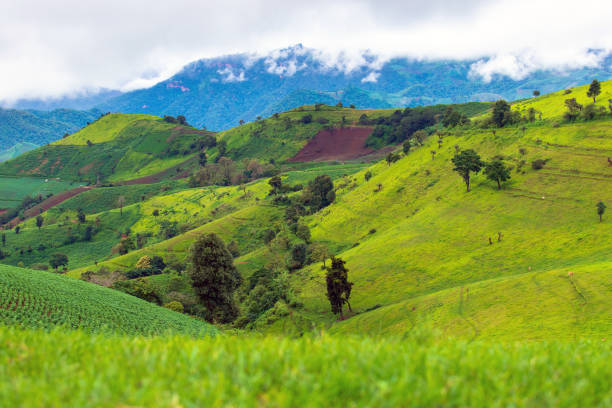 istock Mountain view from doi maetho chaimg mai thailand 1278573774
