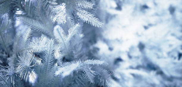 istock Christmas background, festive bright background to insert an image. 1278575553