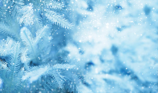 istock Christmas background, festive bright background to insert an image. 1278575555