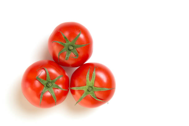 Fresh tomatoes on a white background