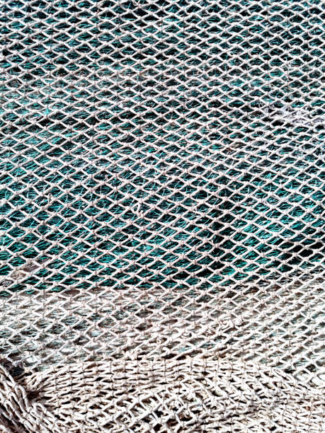 istock fishing nets still life background fishermen tackle 1278581061