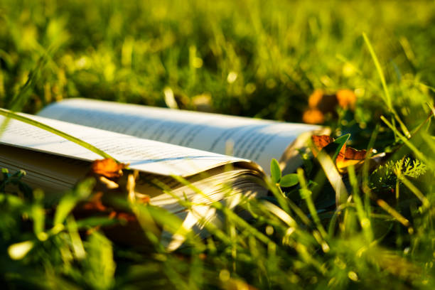 Open book in the grass with brown leaves, horizontal