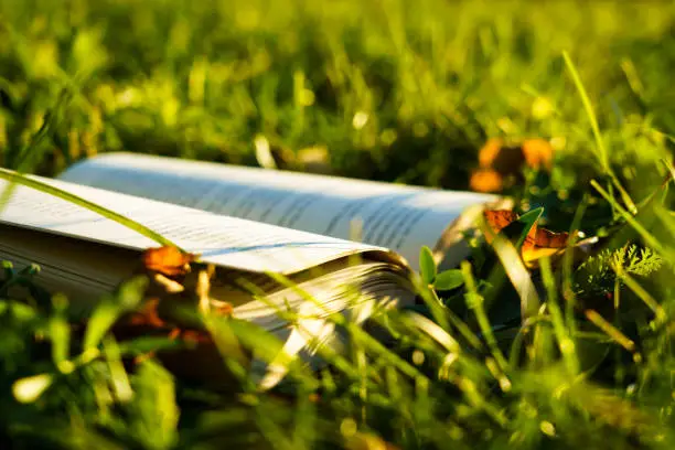 Open book in the grass with brown leaves, horizontal