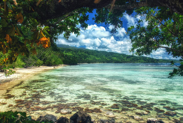 Taveuni island scenery South Pacific, Fiji, Taveuni, Foliage hangs over a deserted beach on the west coast of Taveuni  Island. taveuni stock pictures, royalty-free photos & images