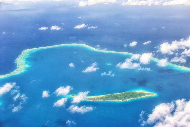 istock Reef Plates Fiji 1278581618