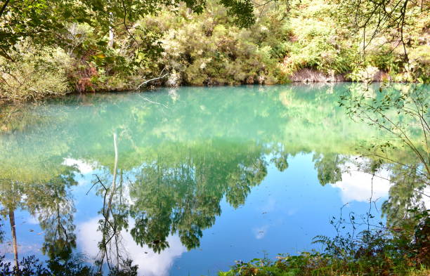 istock Lake with water reflections in a forest. Galicia, Spain. 1278585736